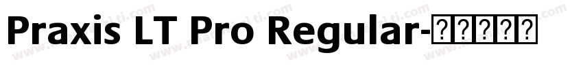Praxis LT Pro Regular字体转换